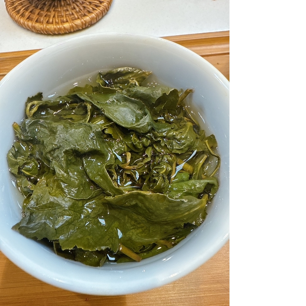 【東眼山茶】仁愛茶區