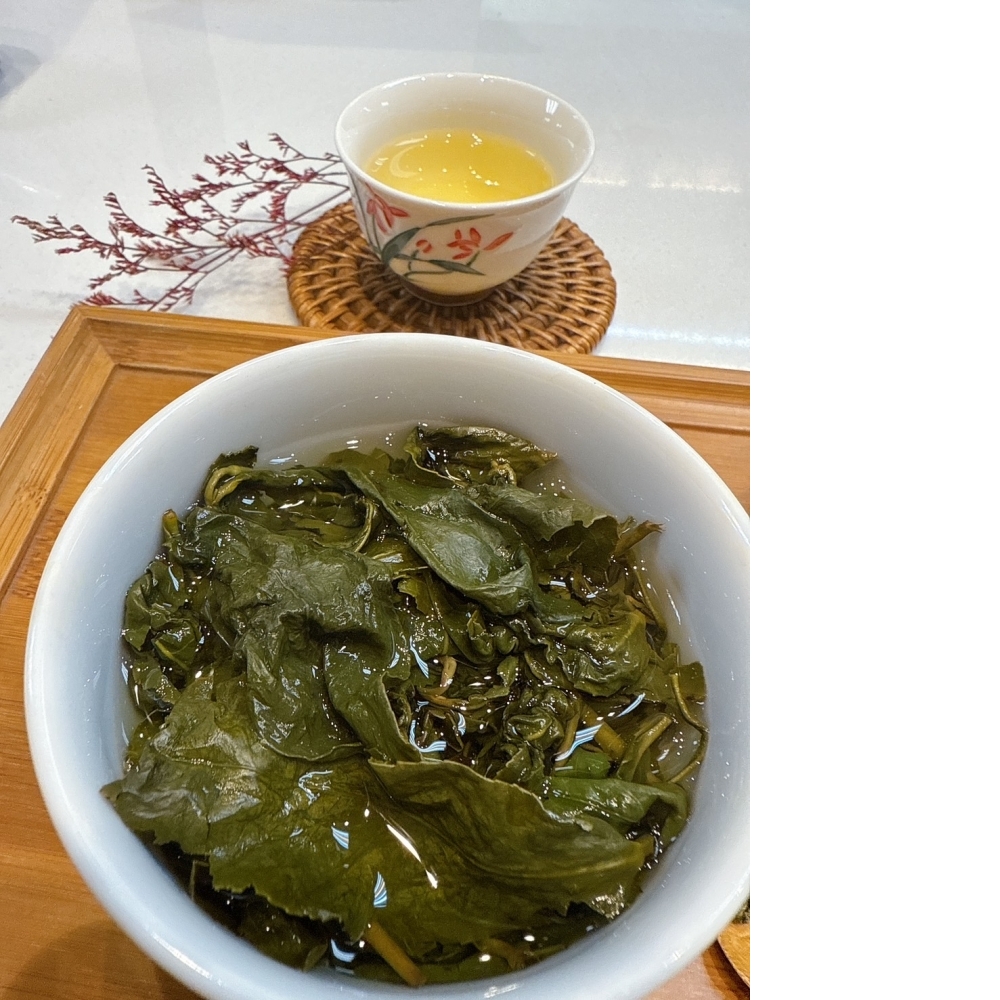 【東眼山茶】仁愛茶區