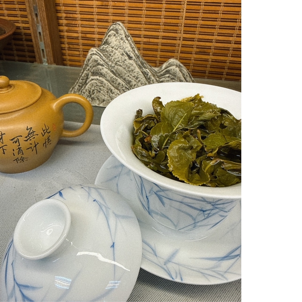 南投高山茶-清香《春茶上市》